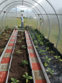 Агротекстиль Agrojutex 130г/м2 - 1x20м Агротекстиль Agrojutex 130г/м2 - 1x20м